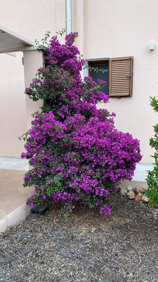 Villa Lp Kokkino Chorio エクステリア 写真